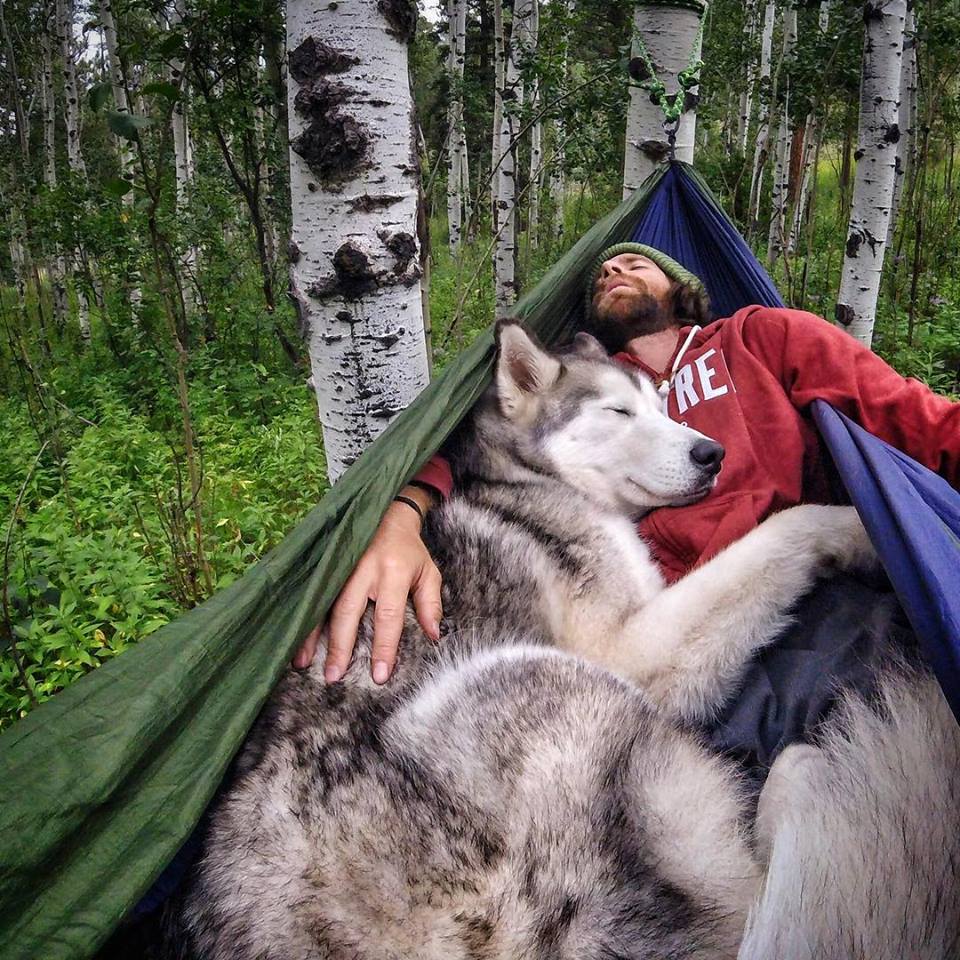 dog and man in hammock
