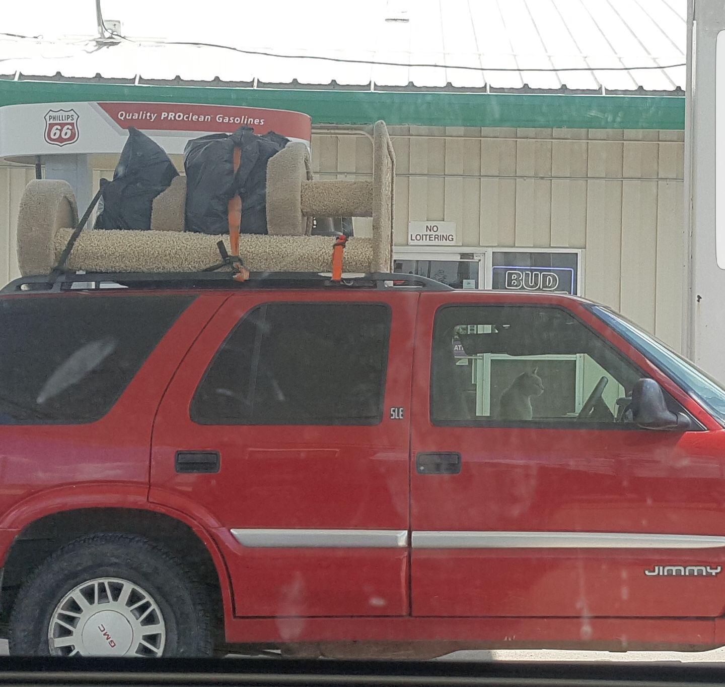 Truck parked in gas station, with cat tree tied to roof. Cat sits in passenger seat.